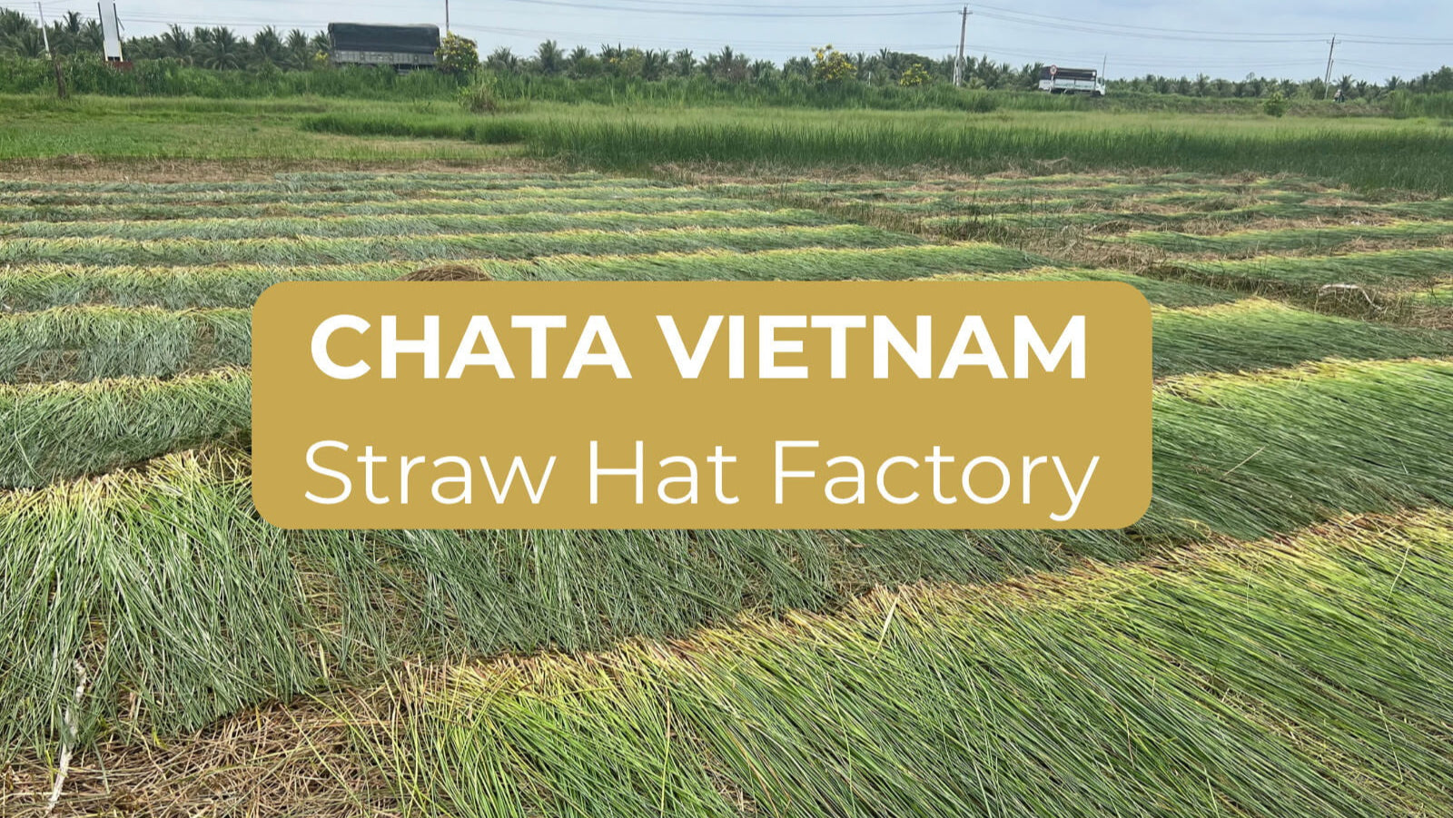 Load video: Chata straw hats factory – Wholesale &amp; OEM Service