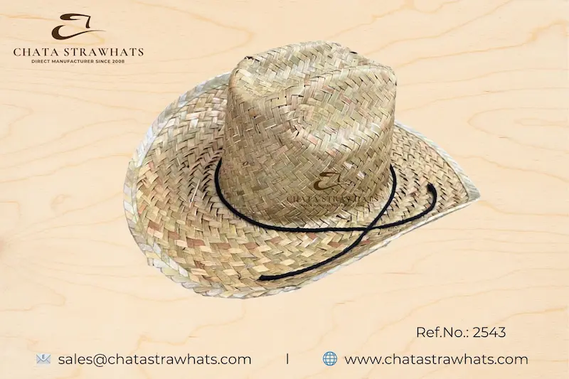 cowboy straw hat with wide brim and decorative black cord – Ref 2543