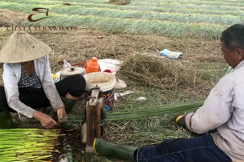 Vietnam straw hat factory weaving rush grass